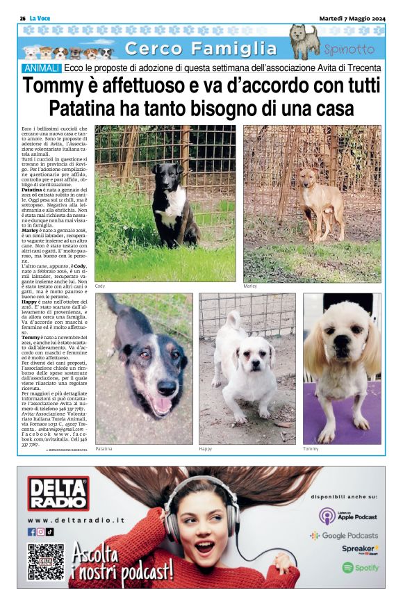 pag 26