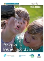 Voce di Rovigo - Inserto