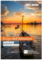 Voce di Rovigo - Inserto