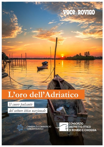 Voce di Rovigo - Inserto