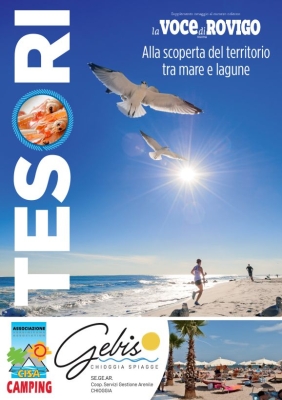 Voce di Rovigo - Inserto