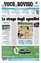rovigo