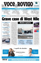 rovigo